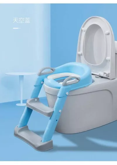 Potty Ladder