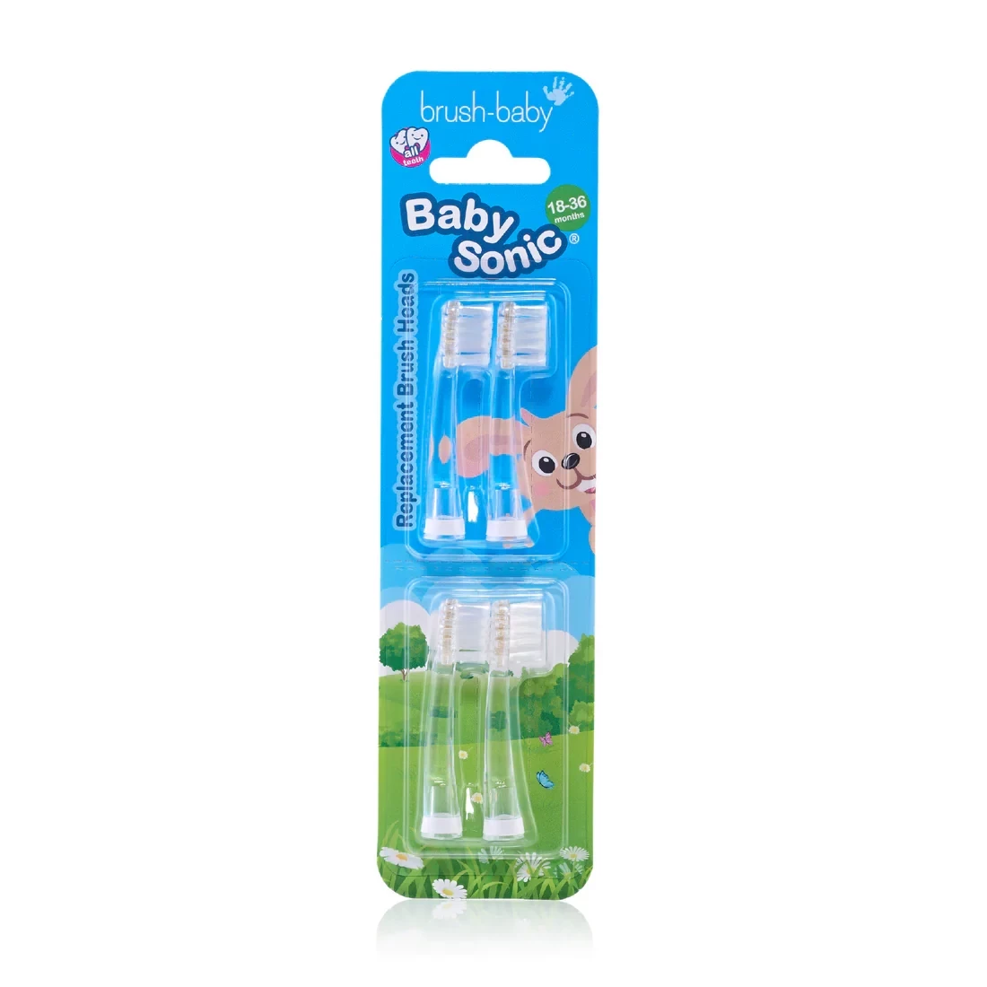 BabySonic Replacement Brush Heads 18–36 Months (4pack)