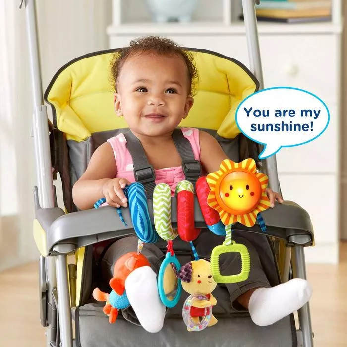 Spiral Hanging Toy