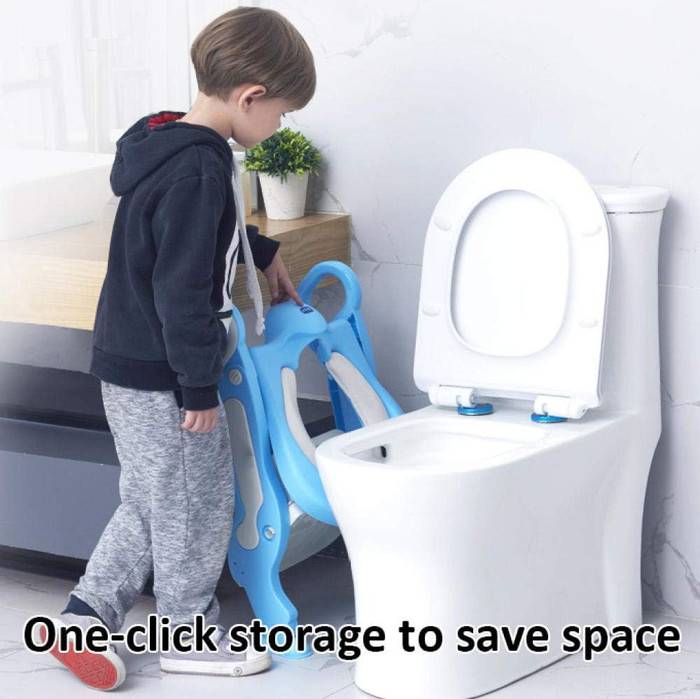 Potty Ladder Seat