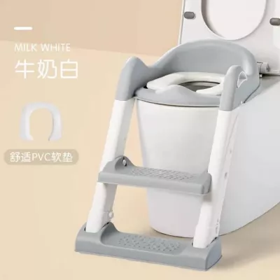 Potty Ladder