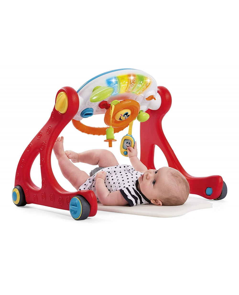 Chicco Grow And Walk Gym 4 In 1