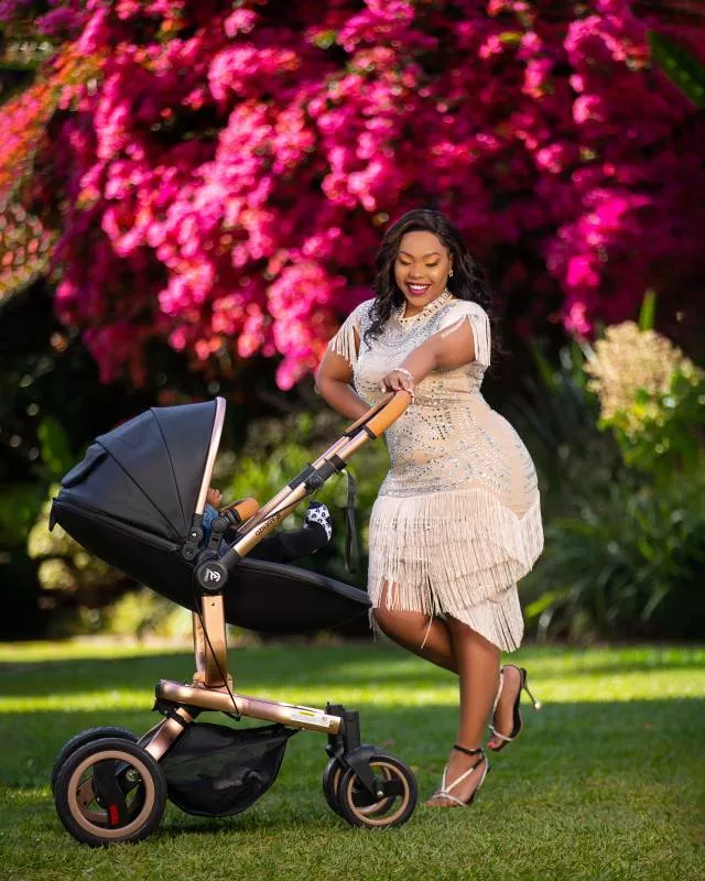 Adenzo Stroller