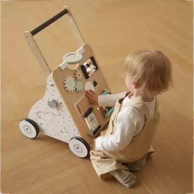 Push Walker