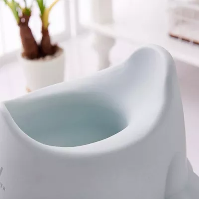 baby potty