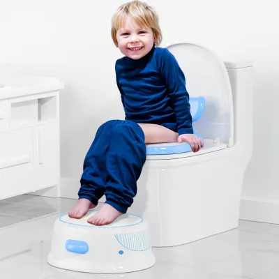 4 in 1 Baby Potty+Training Seat+Little Sofa+Step Stool