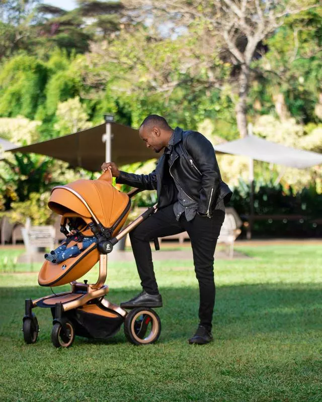Adenzo Stroller